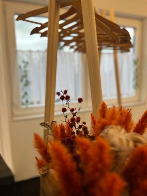 Boho Apartment Mit Aussicht Auf Gartenoase Naehe Duesseldorf Krefeld Exterior foto